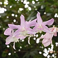 a5aabaea27d7722c0da8bd1ef718d1b4