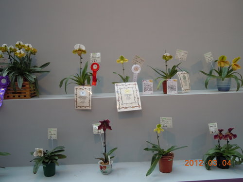 02aa8bd196c359e19f19eda73fc1470a