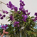 25cbd0e6493f5ed8b114bded18a2dd73