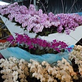 043d3d8c9ca373a7a5e1037ca24ffcc4