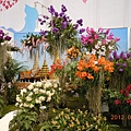 798accdb8b9b8adb35c165fe63616dd7