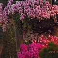 f08b45c99d2cb074a692f2c8daa1778d