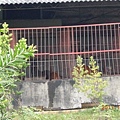 8e8cbd212409967cfa045784b782cc93
