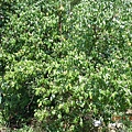 70f78b456240b3e958c095caa65e803d