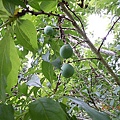 59078198425368c7d09700c2576fe2ba