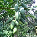 e0f39b491a0e4fc20f11be97a35e00a7