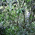 d54da8dc8be95ddeaf6baea34cecf0aa