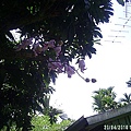 4340bc723a80d790895d4b86ce721357