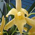 f72cca999e7aea6cec4dfa5751f1ed4a