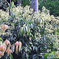 4aaebc75c13aecd844688ab70a97184a