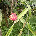 c68d923bb5a24dfd339ba0e53bc97ca3