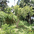 a1c044e1b327c765af42378ecaac95a4