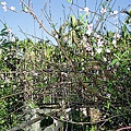 02d4501db0e4189629854880b1184b76