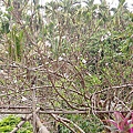 601176b2a9bb7cae9bcde4b8506dc099