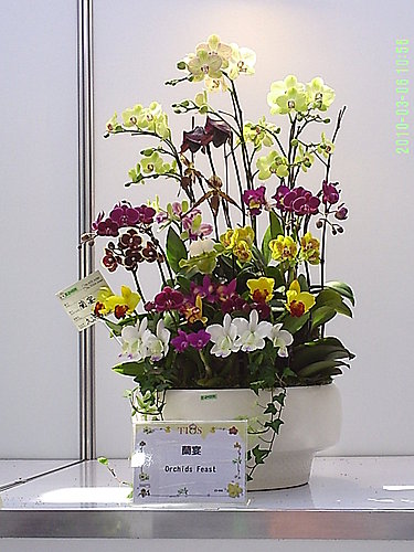 2201dddc75c70c18c73ff526fffe8c8d