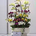 2201dddc75c70c18c73ff526fffe8c8d