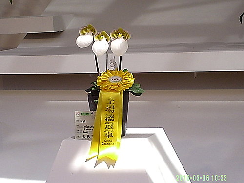 dd62880578c31d762bffe990c81fec9e