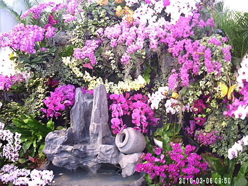 dff41177a6c9bcc8f505058da598cd8b