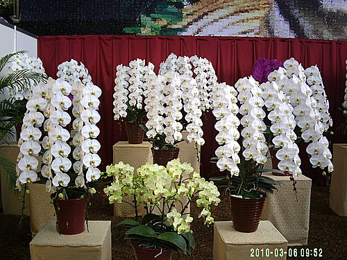 2eb52fe312564e83413f09761f8d7d17