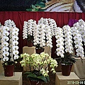 2eb52fe312564e83413f09761f8d7d17