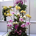 b75e11ed7dcf36d5d787ca3d6b07a308