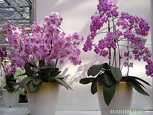 b091df28addd5b83a4762eed50be72f9