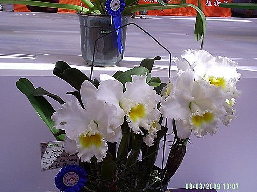 a8ec388b26ac013738568b32730fa27d