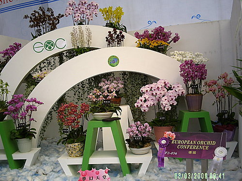 ebbc0948abc384881fe9979783152c23