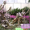 e1b58062f4b160cf6fce7cc5068e2459
