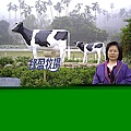 2b51cf36f4a43ab12a1fa0a29e20bf85