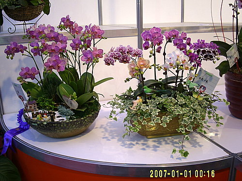 e08bb9cda57a0c33b1d8a471dd550fbc