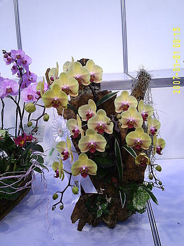 9d6a66f0fa5ae65793db9ddabba92ec6