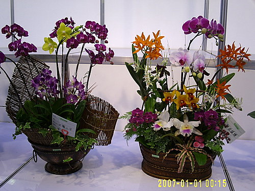 db15c86b930449178e9258eafdd9439f