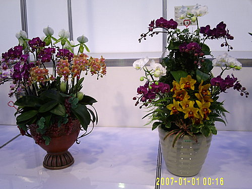 47a5e5049bfc4ef6fc04c924042efda3