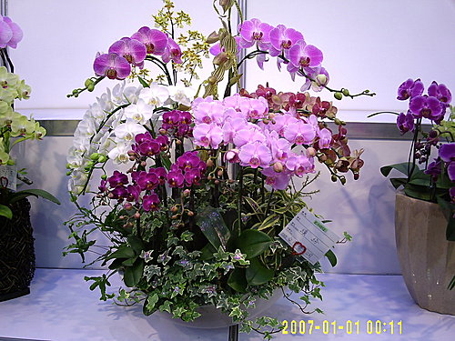 06f0b5c14f85d126da7128ae7f3b17bd