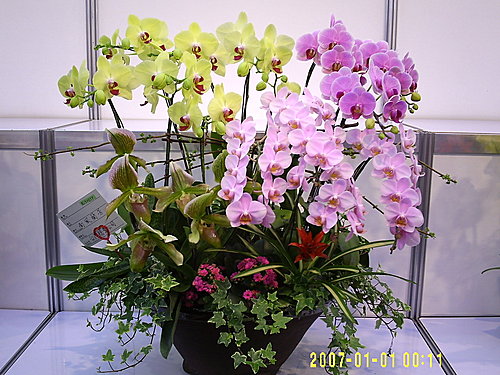 788b040c6bcf19ab64e03ee3e7c88f1f