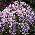 35bb45987e723d274121bc2da621bc68