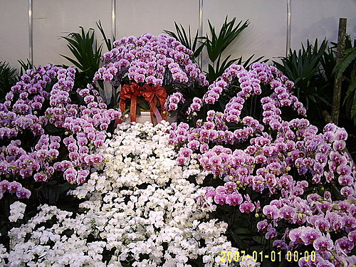 c4cdf97db010c2bd5365b0df5fb8ec3f