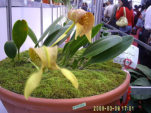 dce83b8ae8320987a8c22d1bd54b24d7