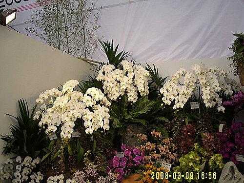 3b0cb0a834f04c6b170bfd06b0e5ab11