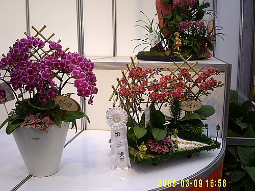fbb48a39117534d10f7b7015124ef82e
