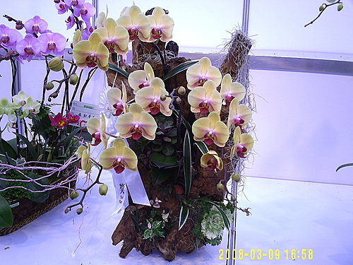 4fe89ffa59b92db02b55688aeefe8414