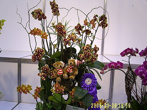 b60233d86a31bfda172887ad935fa9bc