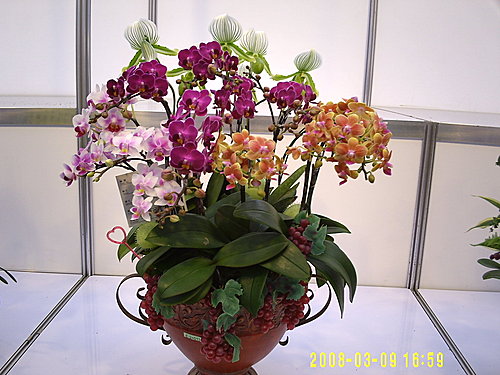 6ae710a4fd80f5fe58fdf2719f84e963