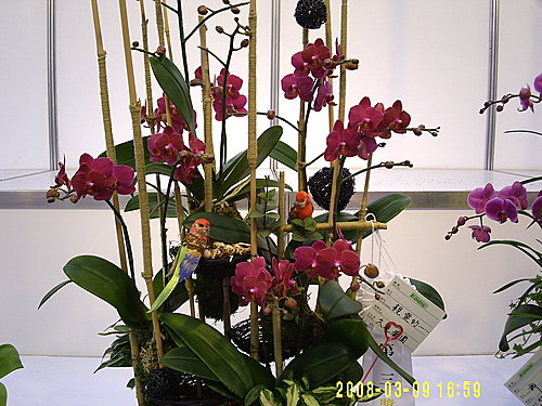 9c05e51acfd6f503a2f42d531b9a8d91