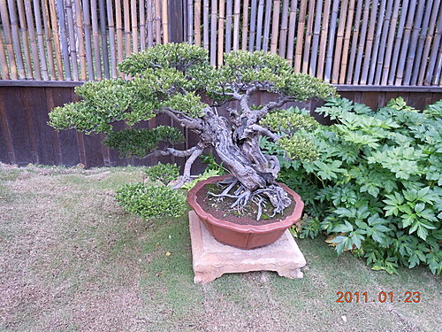 424ebf986fd858021e2cea148bce9b4f