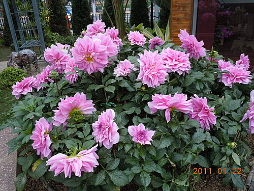 b260422d6255ad0d28e05d522d6c54ab