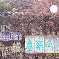 4653c48e66bf7da0ddc017d461cea29d