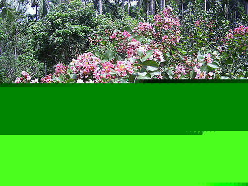 226ffc9a7edeaf36951cbcd99b4a93f8
