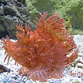 bc007ab0385607c547108dc4ae00cc4b
